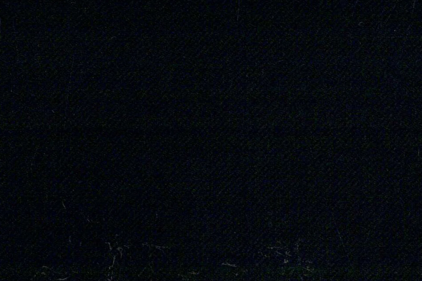 Dormeuil Amadeus 24328-625 BLACK fabric swatch