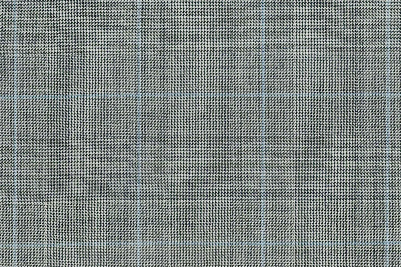 Dormeuil Amadeus 25053-625 LT.GREY W/BLUE CHK fabric swatch
