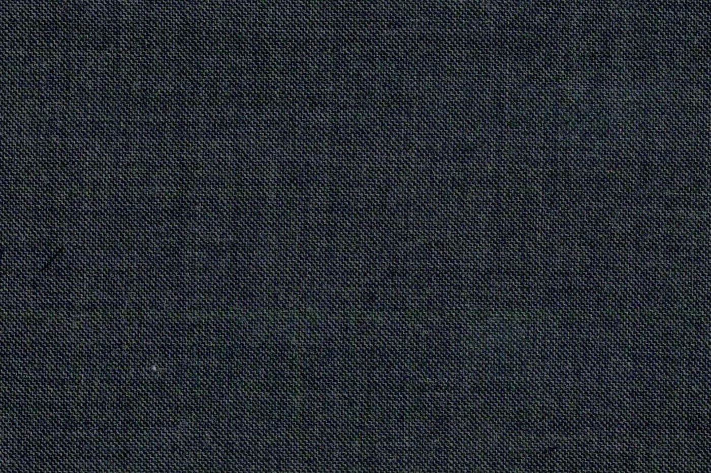 Dormeuil Amadeus 25805-625 DARK GREY SSKIN fabric swatch
