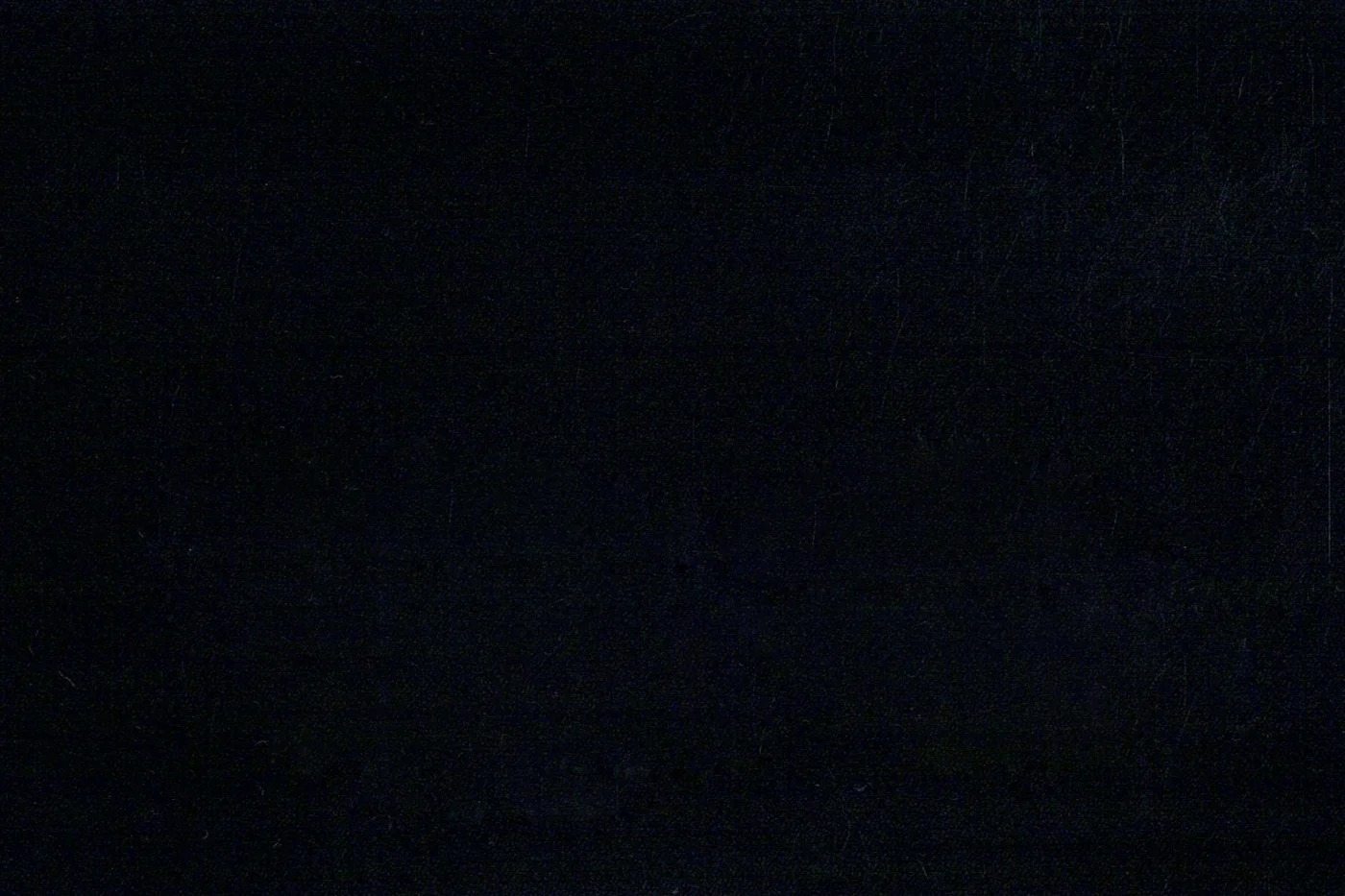 Dormeuil Amadeus 26809-625 BLACK HOPSACK fabric swatch