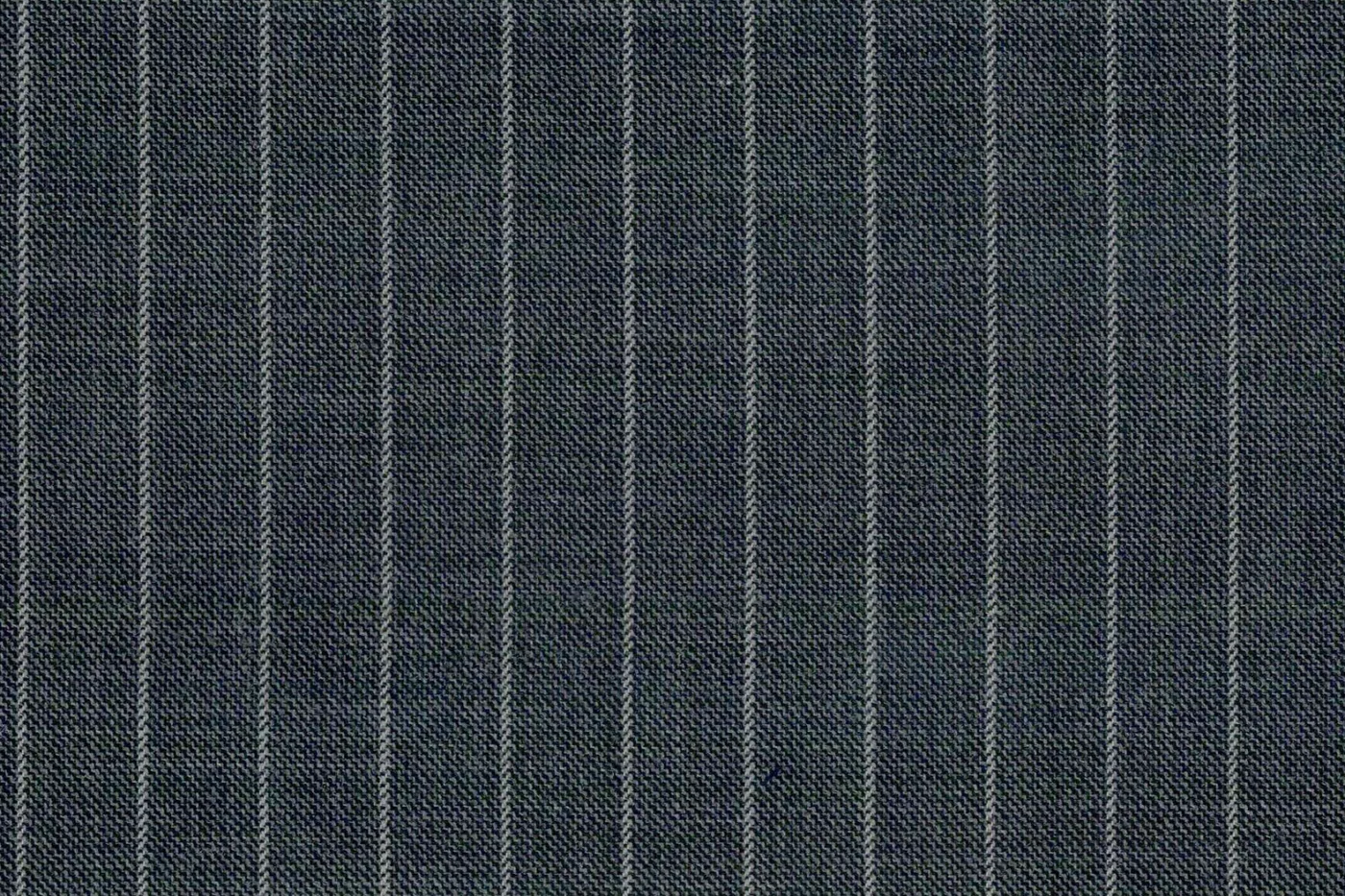 Dormeuil Amadeus 27600-625 GREY CHALK STR fabric swatch
