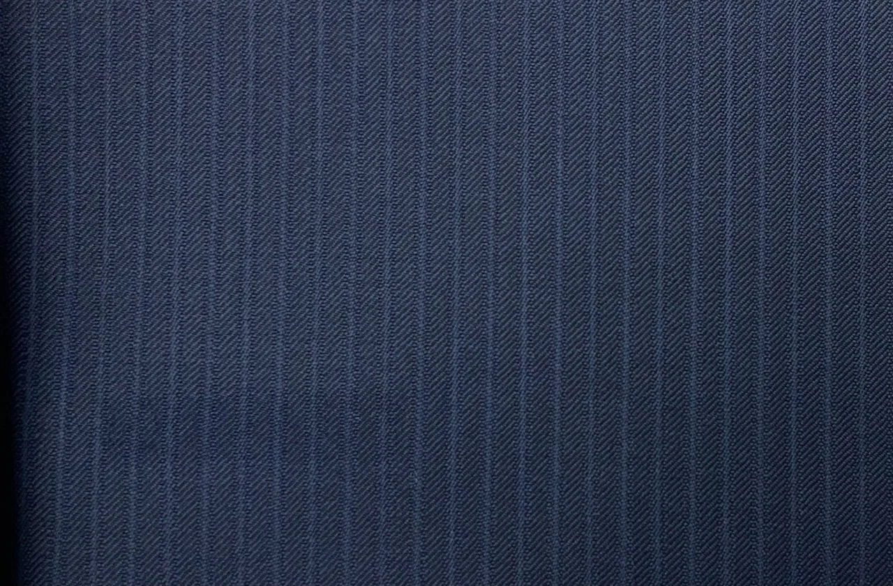 Dormeuil Amadeus 29088-625 BLUE SELF STRIPE fabric swatch