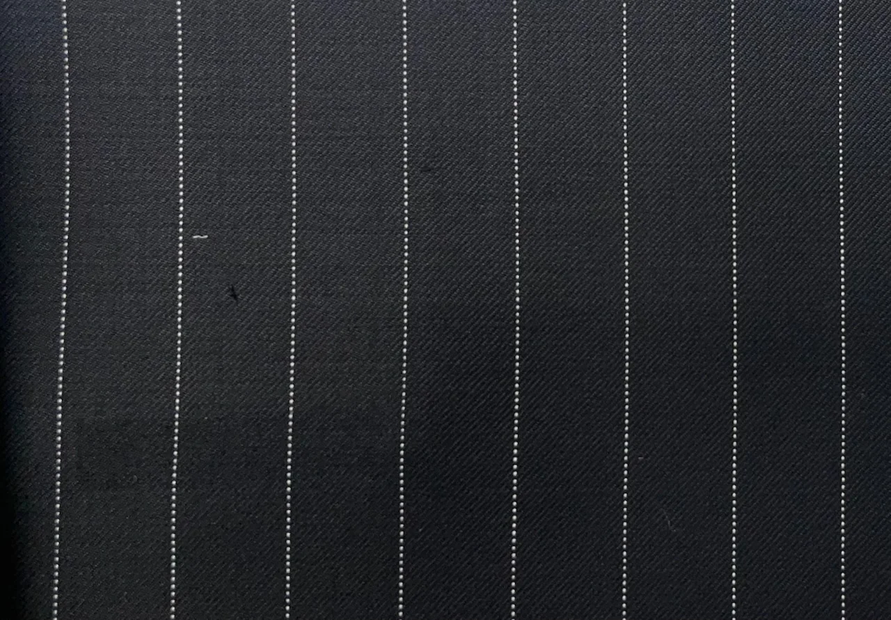 Dormeuil Amadeus 29093-625 BLACK BEADED STRIPE fabric swatch