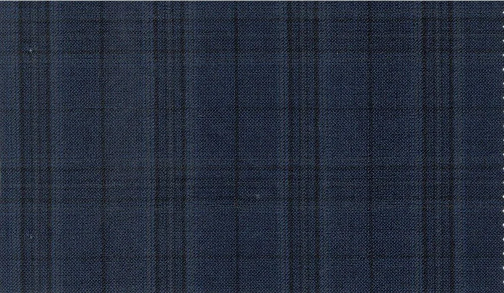 Dormeuil Amadeus 29801-625 Blue Check fabric swatch