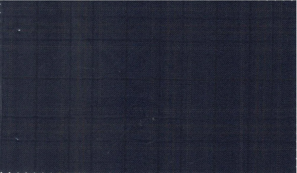 Dormeuil Amadeus 29803-625 Dark Blue Check fabric swatch