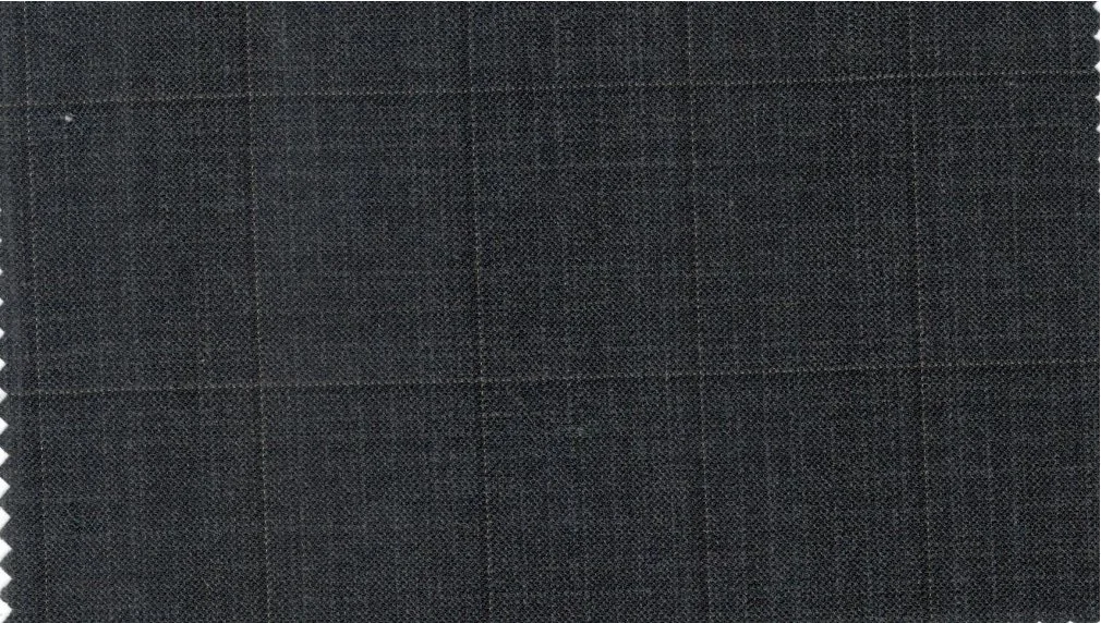 Dormeuil Amadeus 29808-625 Grey Windowpane fabric swatch