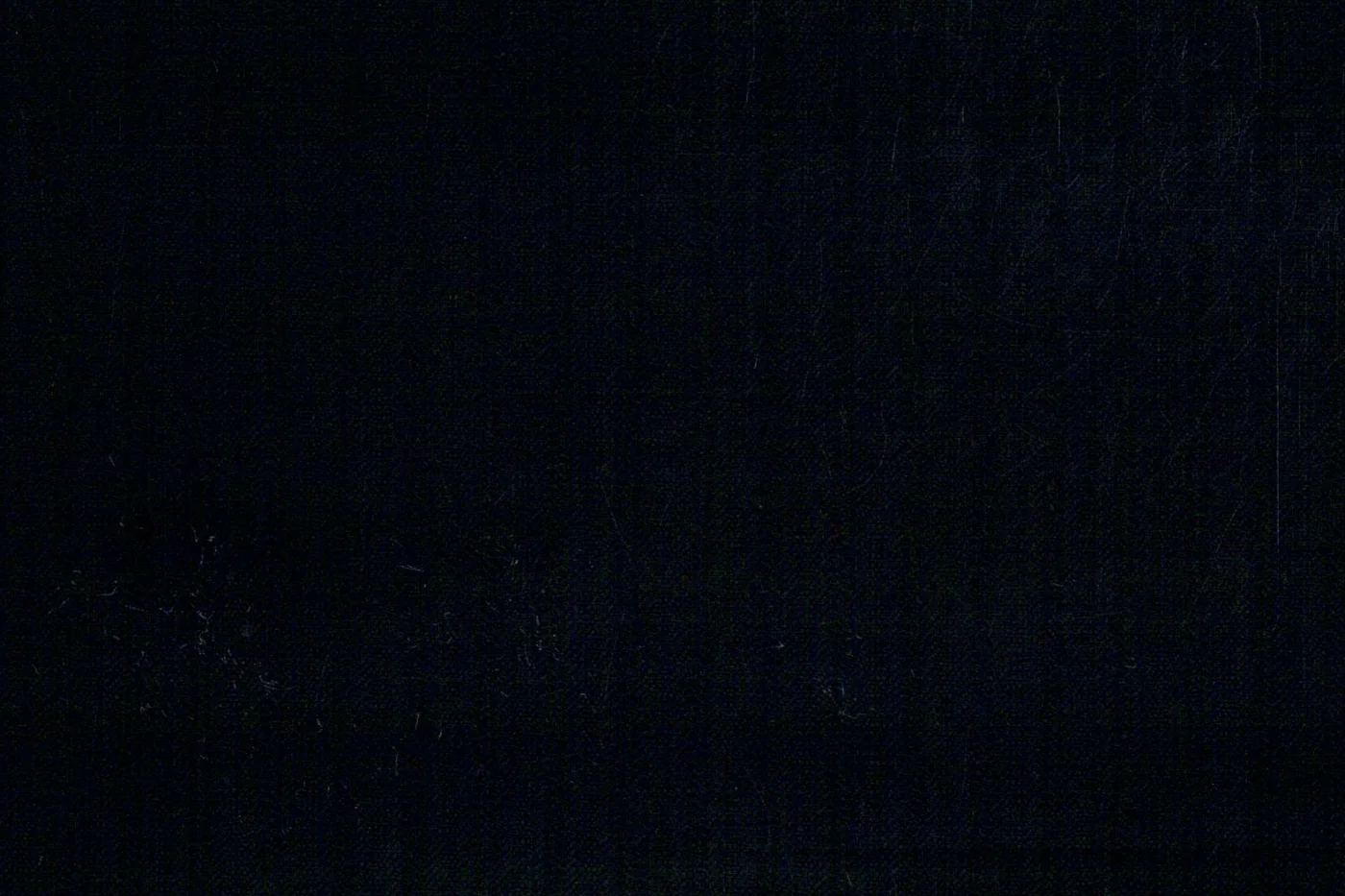 Dormeuil Executive 26484-480 BLACK SELF STR fabric swatch