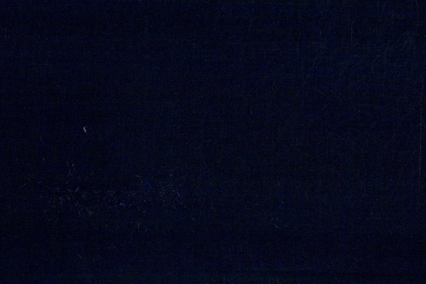 Dormeuil Executive 27750-625 NAVY SOLID fabric swatch