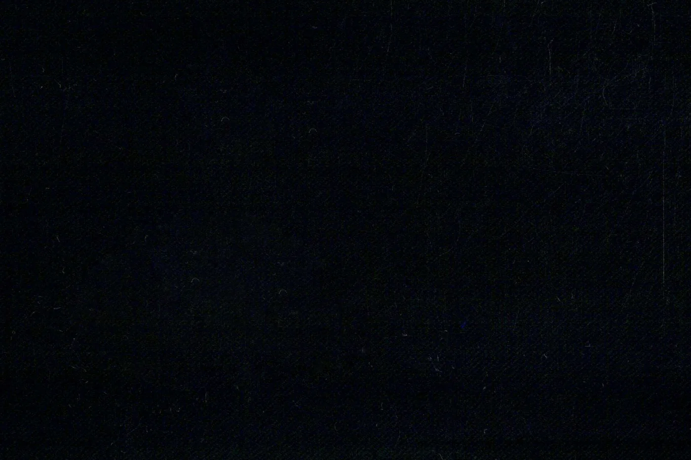 Dormeuil Executive 27751-625 BLACK SOLID fabric swatch