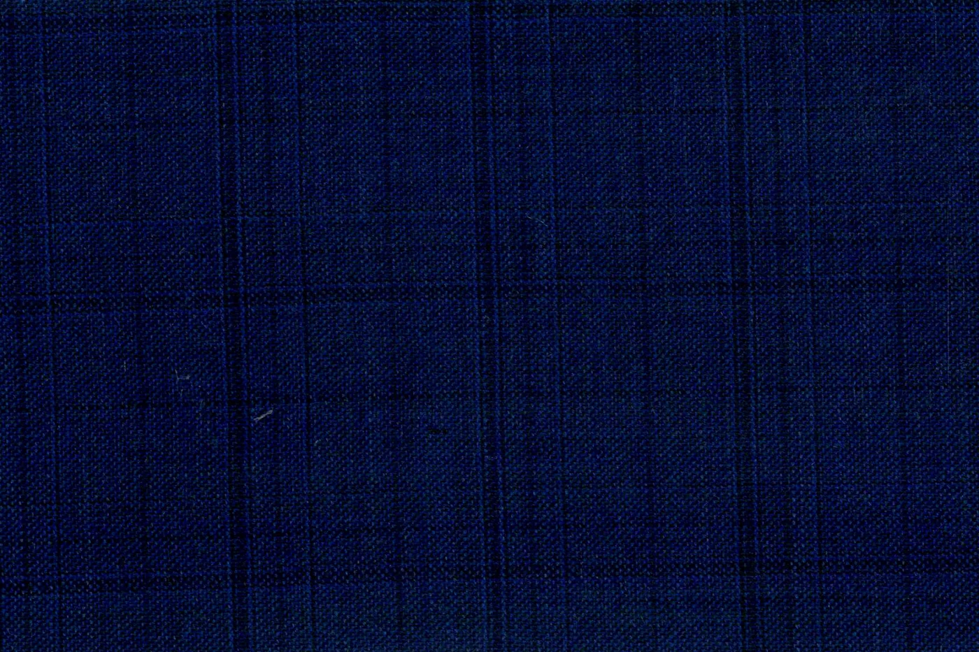 Dormeuil Executive 28294-625 BLUE CHECK fabric swatch