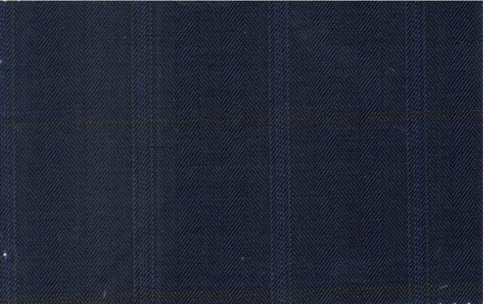 Ferre 26135-250 NAVY WINDOWPANE fabric swatch