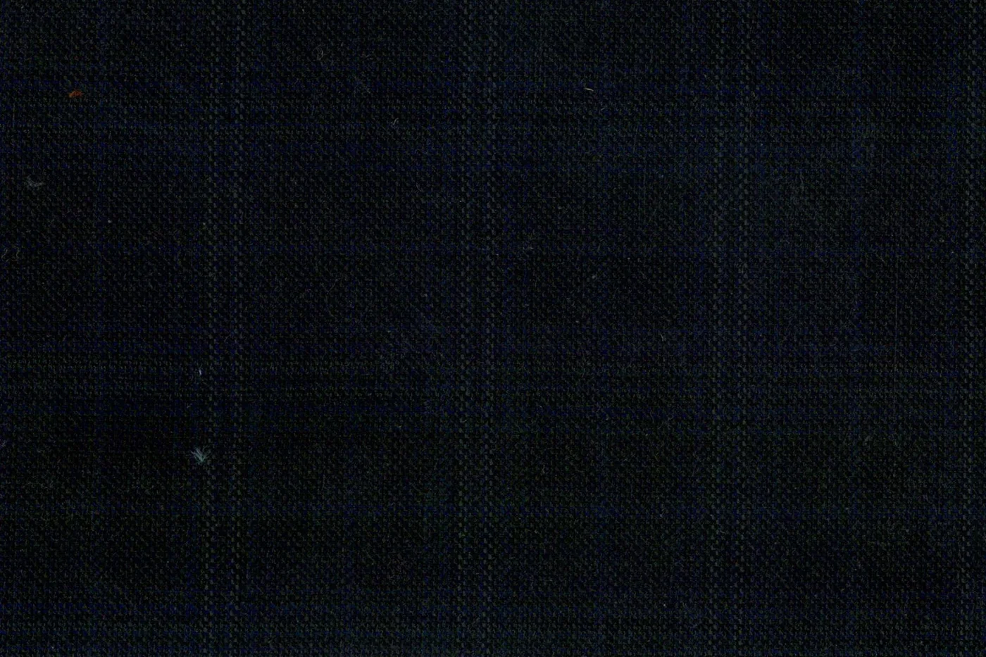 Ferre 26819-340 BLACK W/BLUE WP fabric swatch