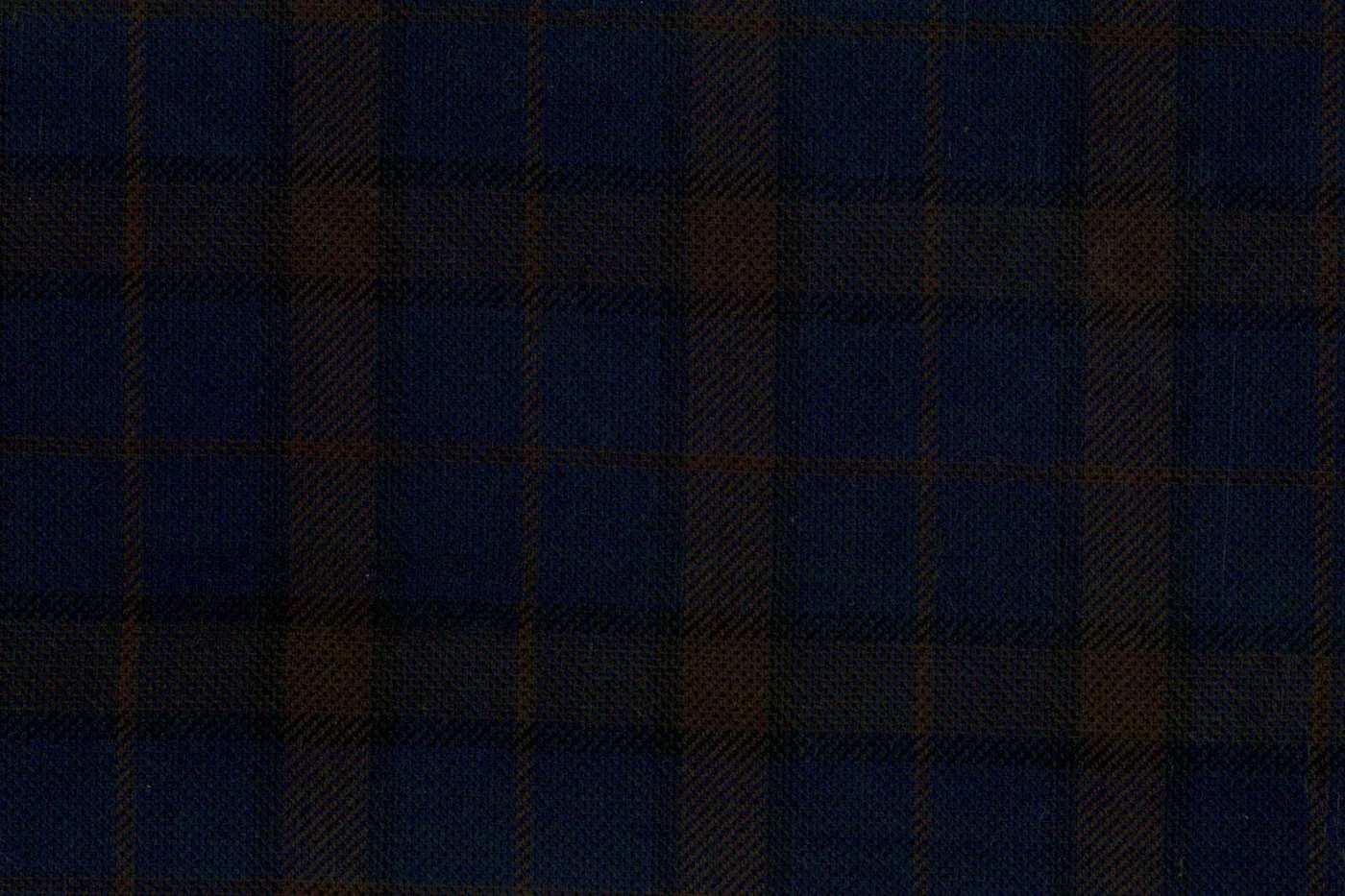 Ferre 27124-340 BLUE FANCY WPANE fabric swatch