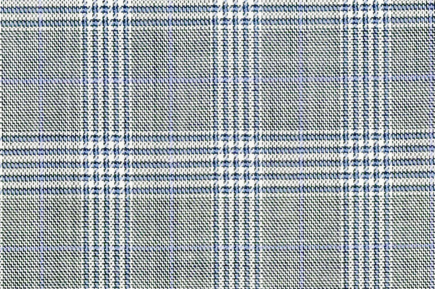 Ferre 27418-250 LT.GREY W/BLUE CHK fabric swatch