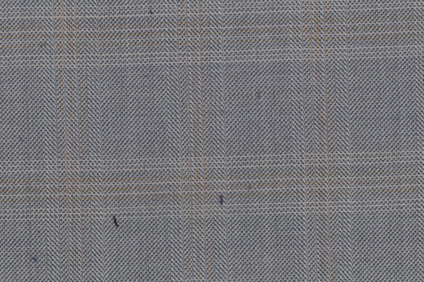 Ferre 27637-340 LIGHT GREY WPANE fabric swatch