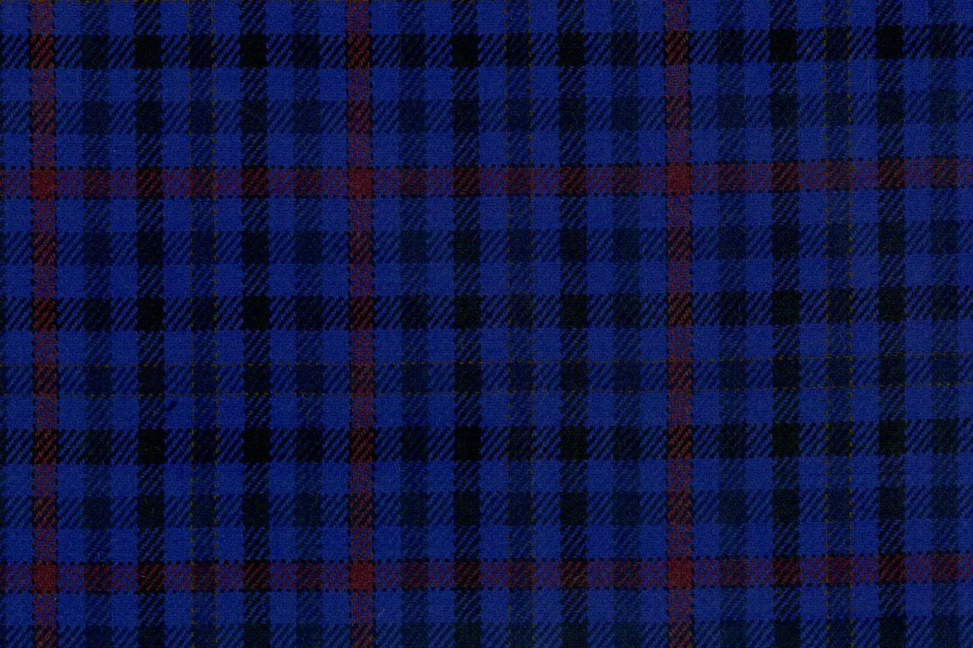 Ferre 28210-250 ROYAL BLUE W/RED CHK fabric swatch