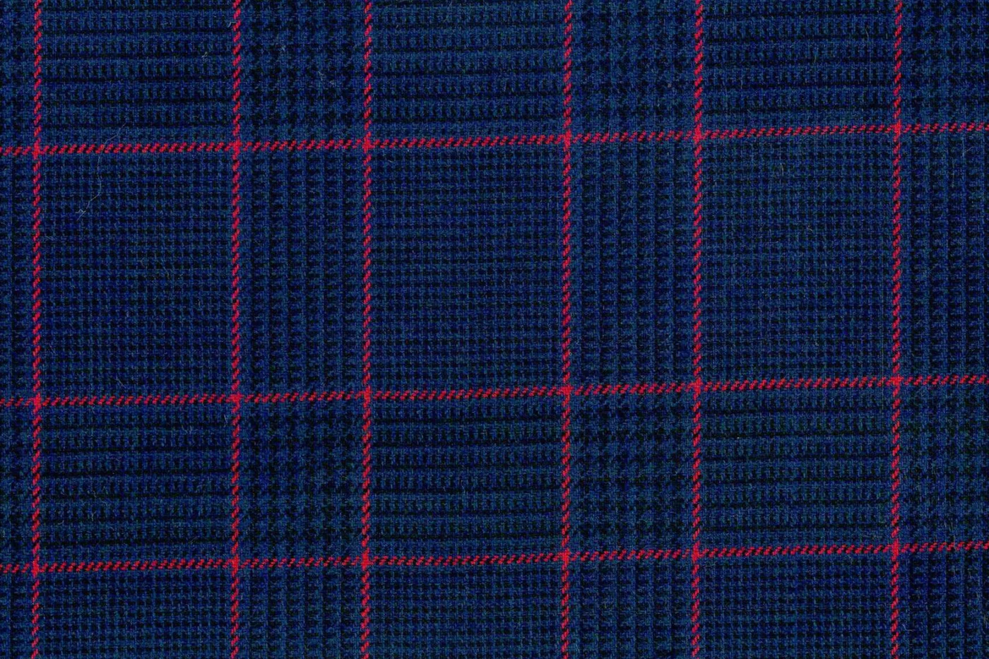 Ferre 28235-250 NAVY BLUE W/RED CHK fabric swatch