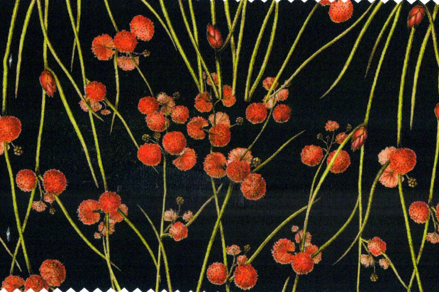 Flash Lining 27994-65 FLYING POPPY fabric swatch