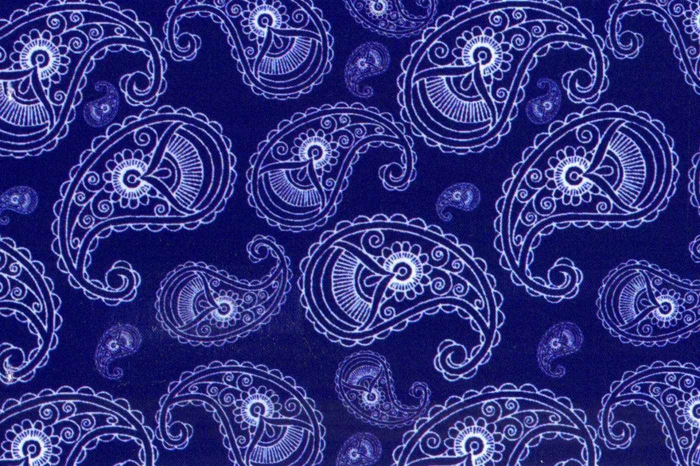 Flash Lining 28202-65 PURPLE PAISLEY fabric swatch