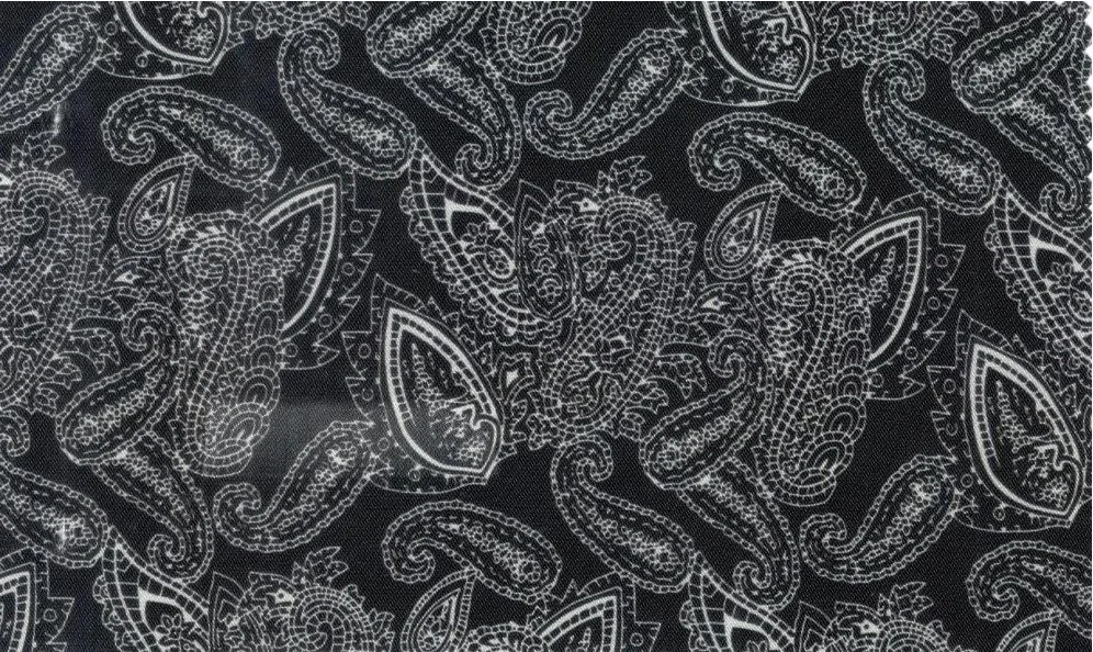 Flash Lining 29823-65 Black Paisley fabric swatch