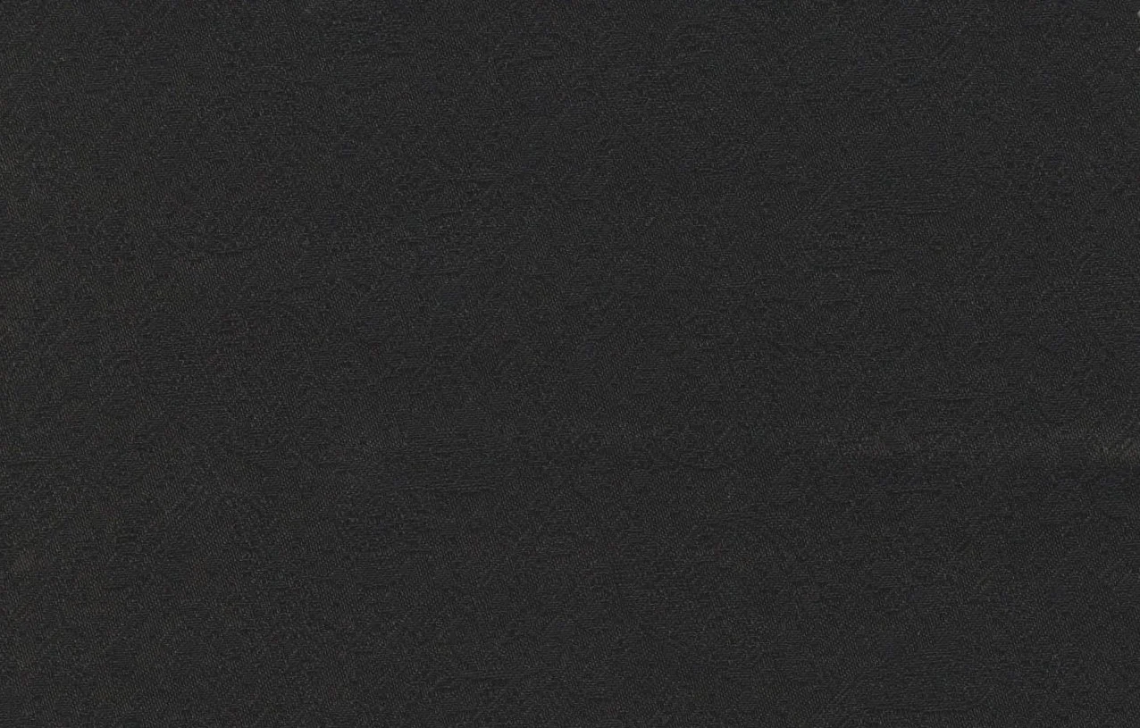 Gianfranco Bertolucci Ceremonial 29141-190 BLACK PAISLEY fabric swatch