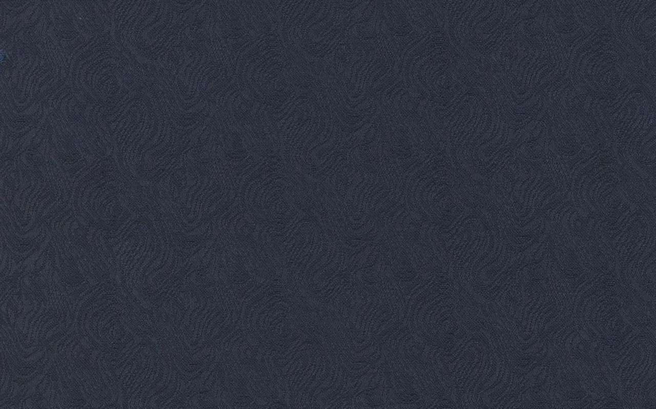 Gianfranco Bertolucci Ceremonial 29149-190 NAVY FANCY fabric swatch
