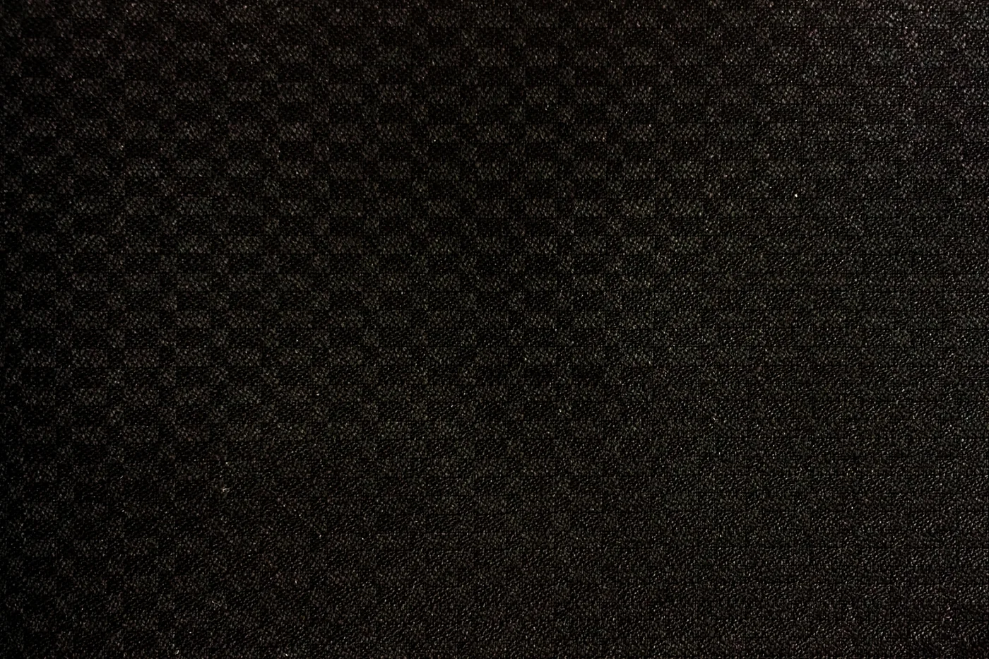 Gianfranco Bertolucci Ceremonial 891-190 BLACK SELF fabric swatch