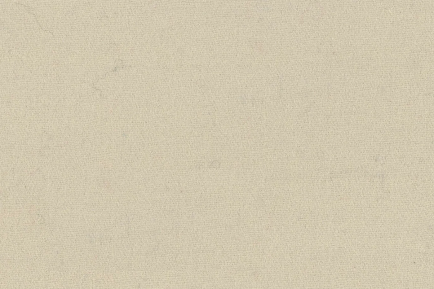 Gianfranco Bertolucci Topcoating 24859-280 CREAMISH BEIGE fabric swatch