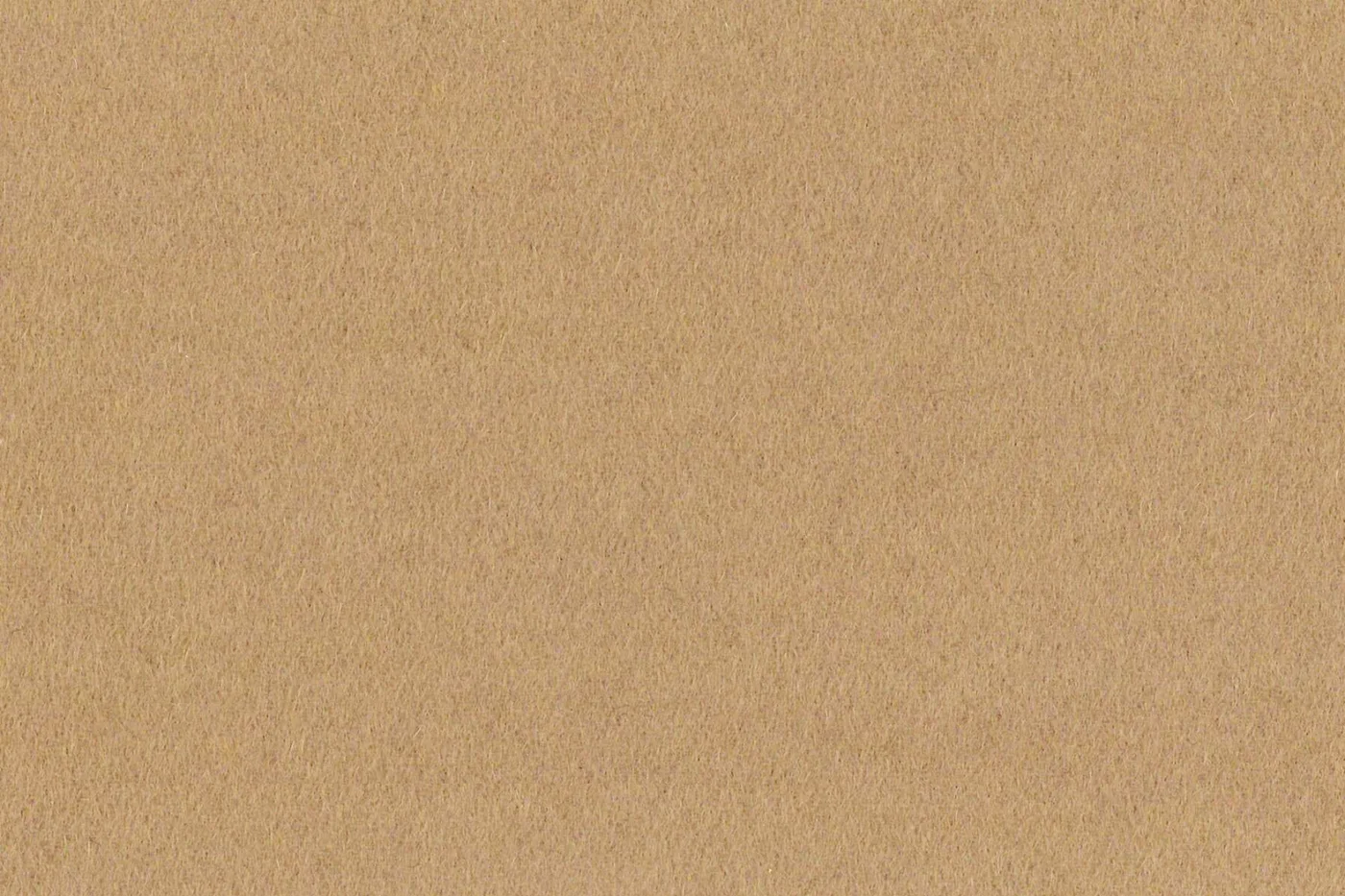 Gianfranco Bertolucci Topcoating 27888-280 CAMEL fabric swatch