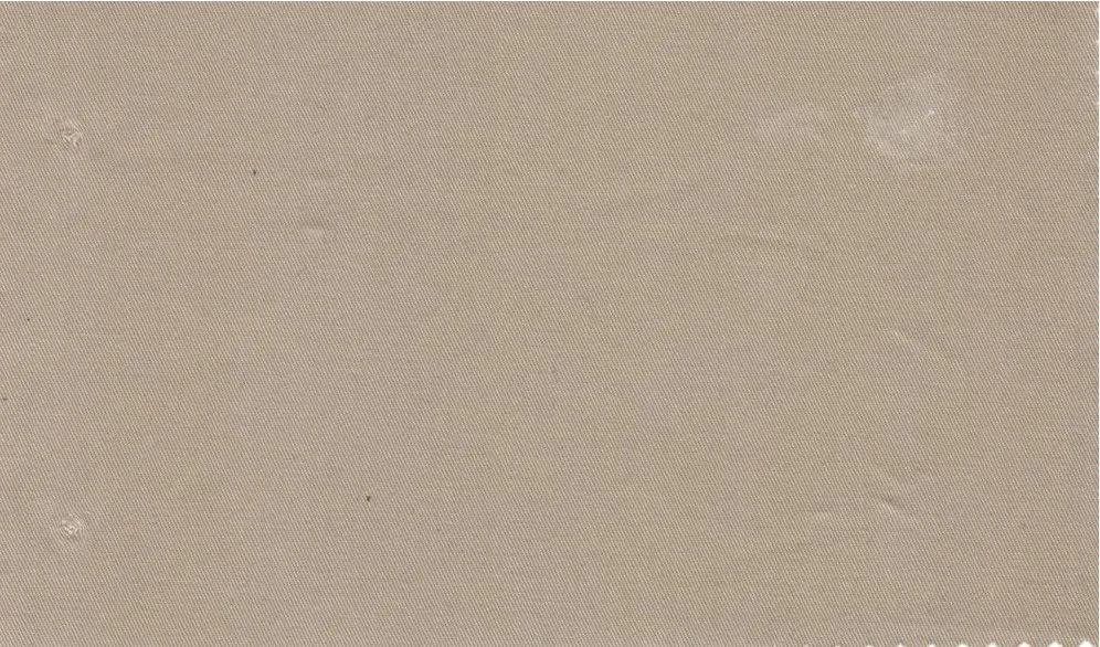 Gianluca Biatti Stretch Cotton 29549-120 Khaki fabric swatch