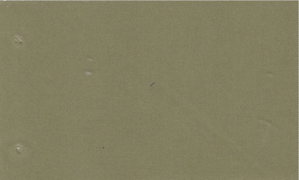 Gianluca Biatti Stretch Cotton 29553-120 Military Green fabric swatch