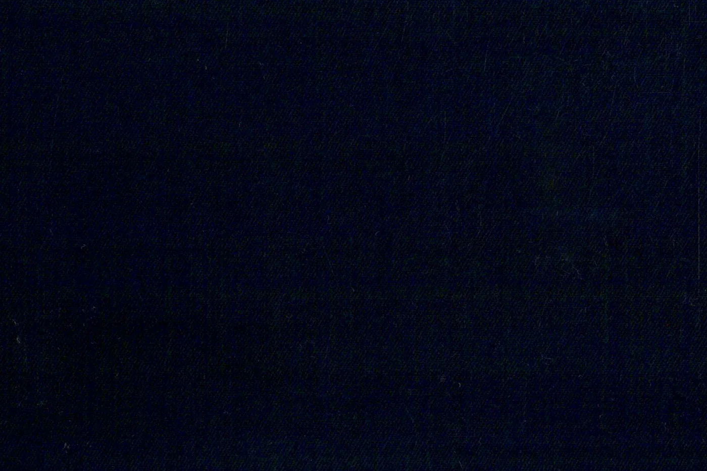 Gianluca Biatti 20318-110 DARK NAVY fabric swatch