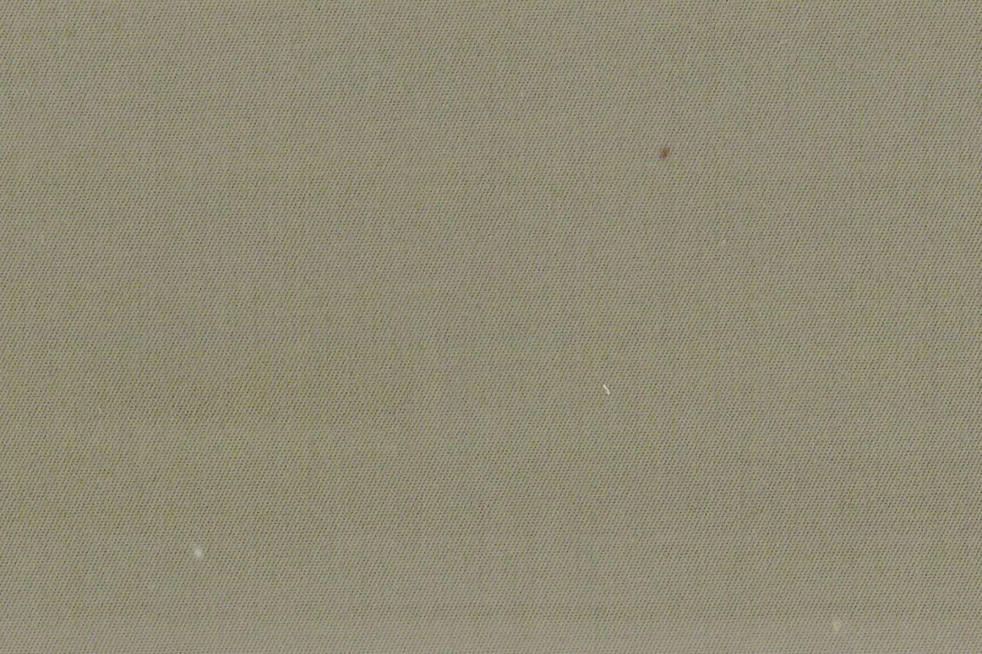 Gianluca Biatti 598-110 LIGHT GREEN fabric swatch