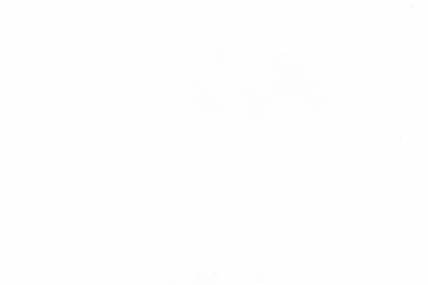 Gianluca Biatti 601-110 WHITE fabric swatch