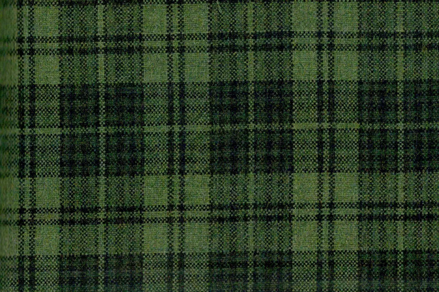 Giorgio Valentino 27355-200 GREEN CHECK fabric swatch