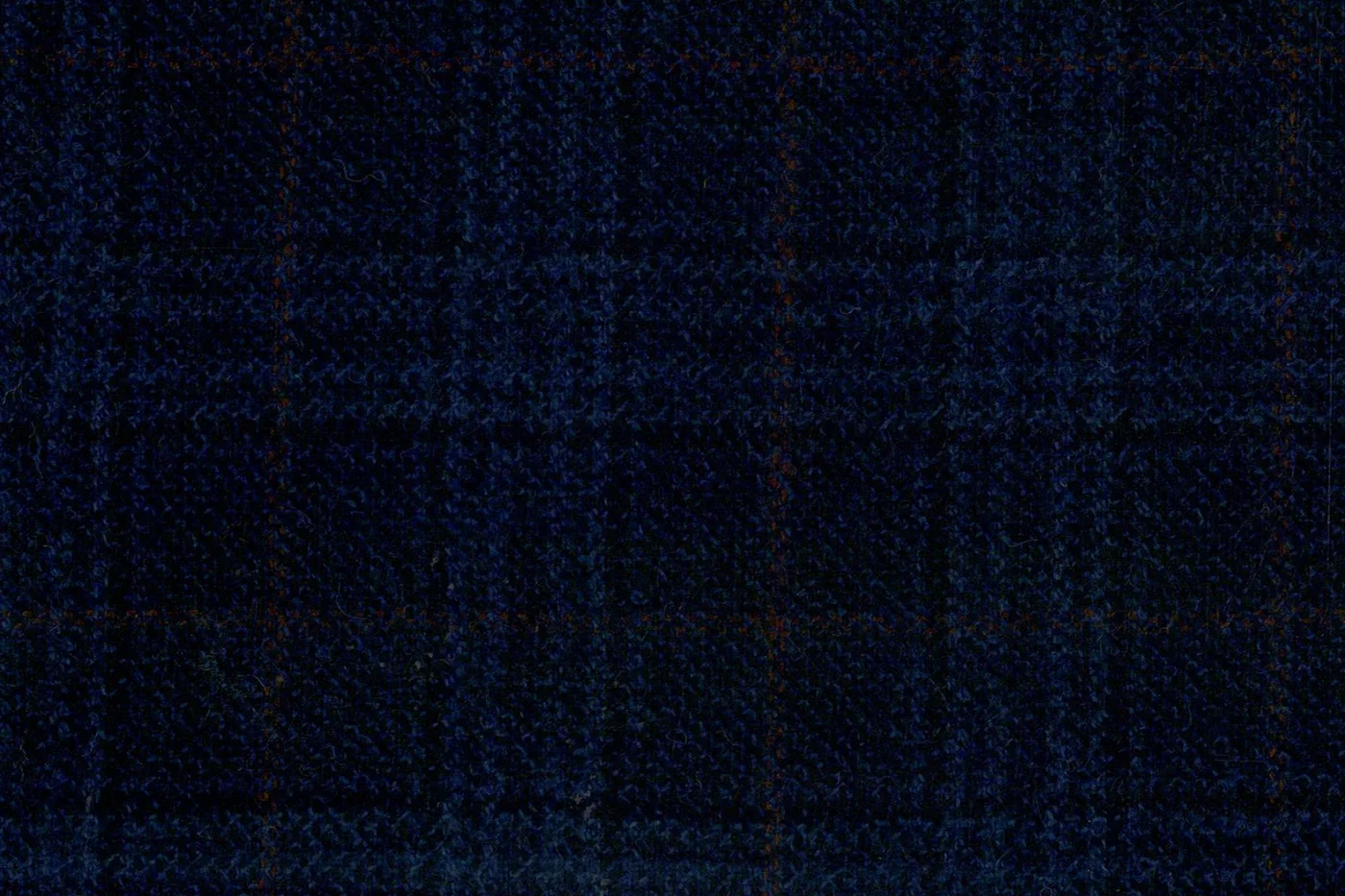 Giorgio Valentino 28456-250 BLUE CHECK fabric swatch