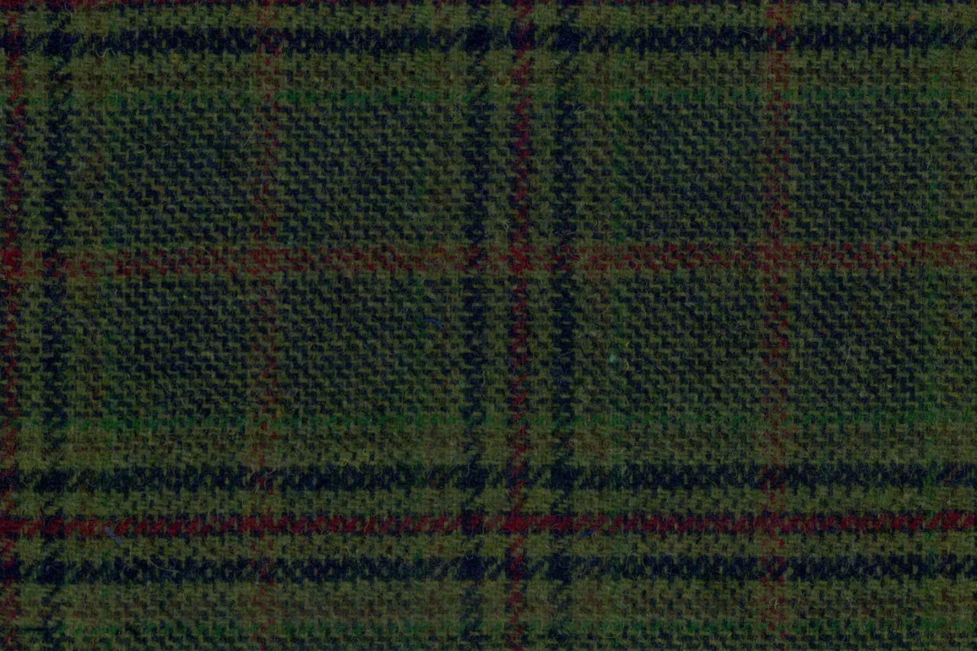 Giorgio Valentino 28457-250 GREEN CHECK fabric swatch