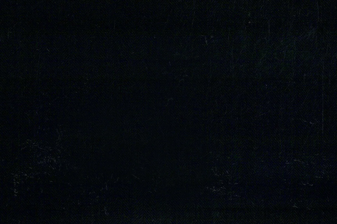John Foster 27010-290 BLACK HBONE fabric swatch