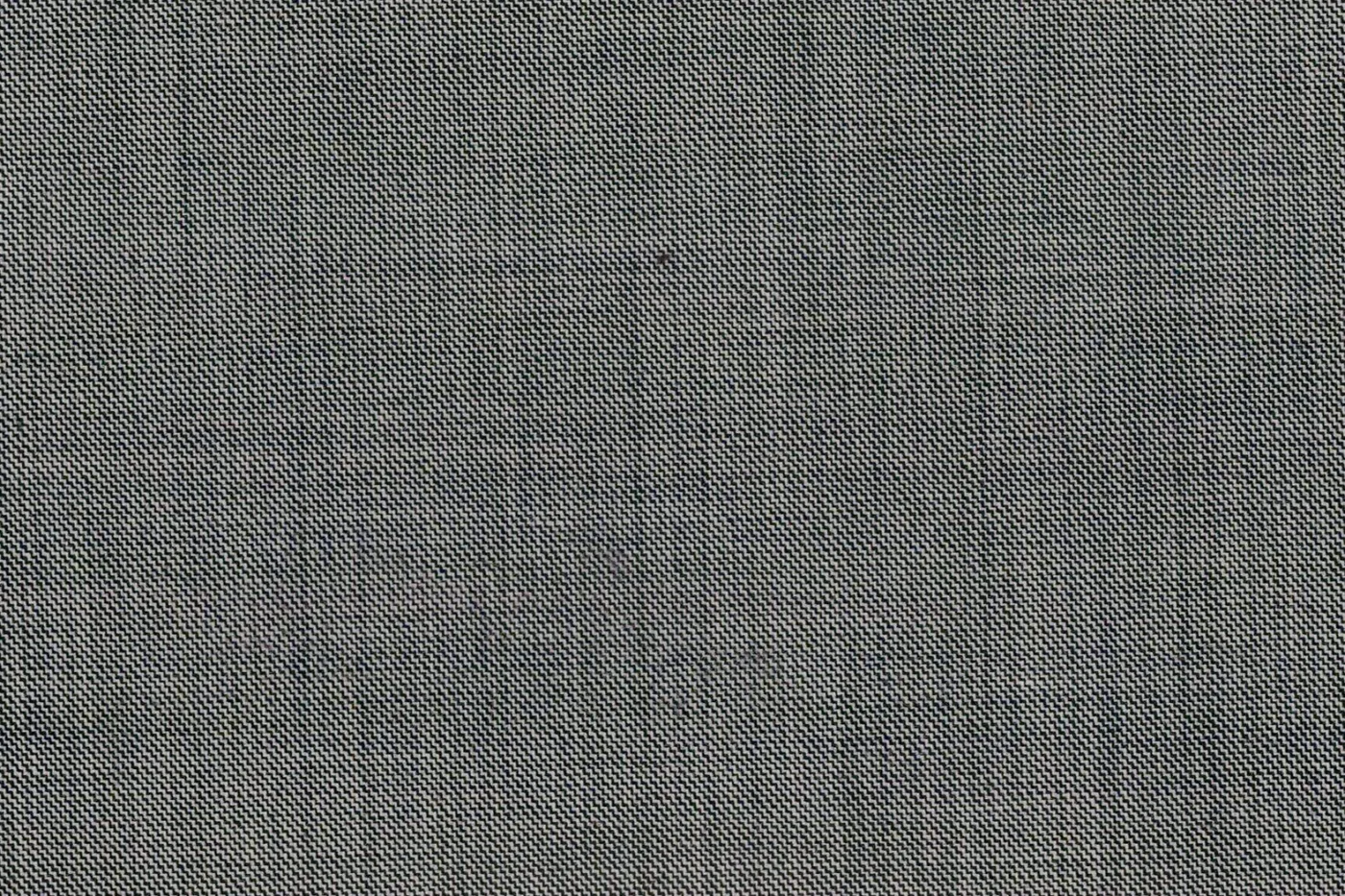 John Foster 27016-290 LT.GREY SSKIN fabric swatch