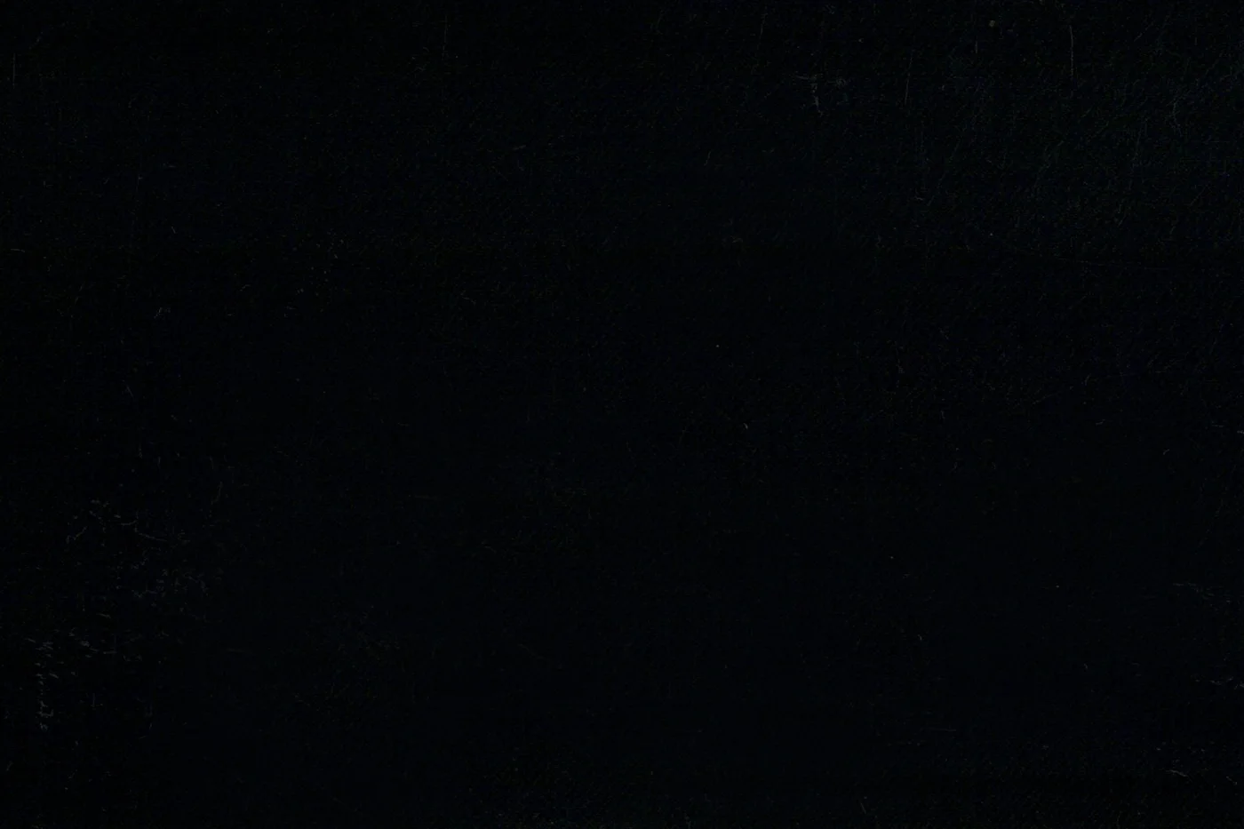 John Foster 27025-290 BLACK fabric swatch