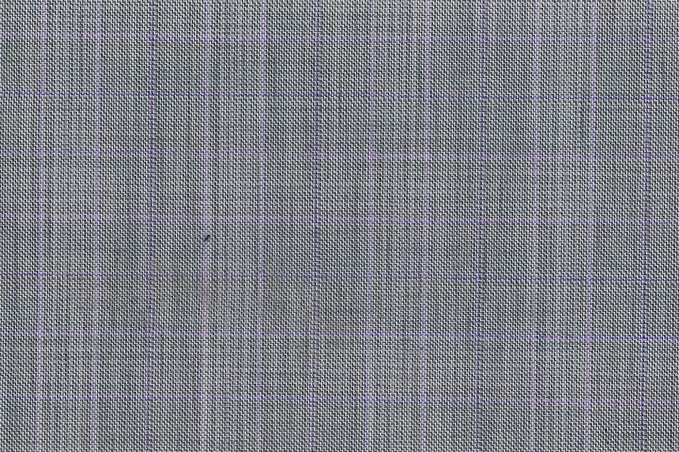 Lanificio Valdengo 26499-280 LT.GREY W/PRPL WP fabric swatch