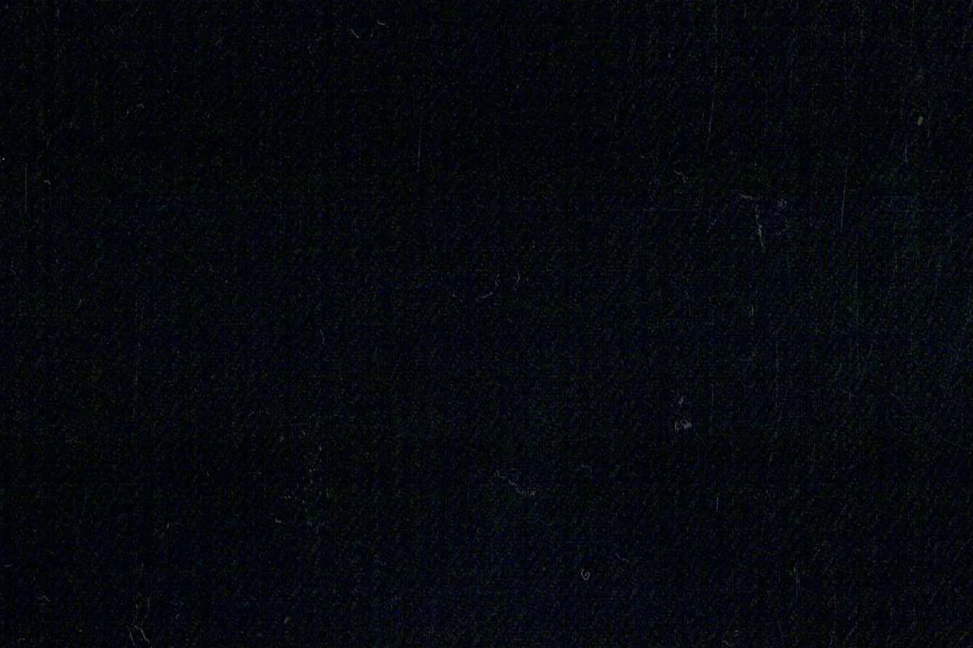 Lanificio Valdengo 26528-280 BLACK SELF fabric swatch