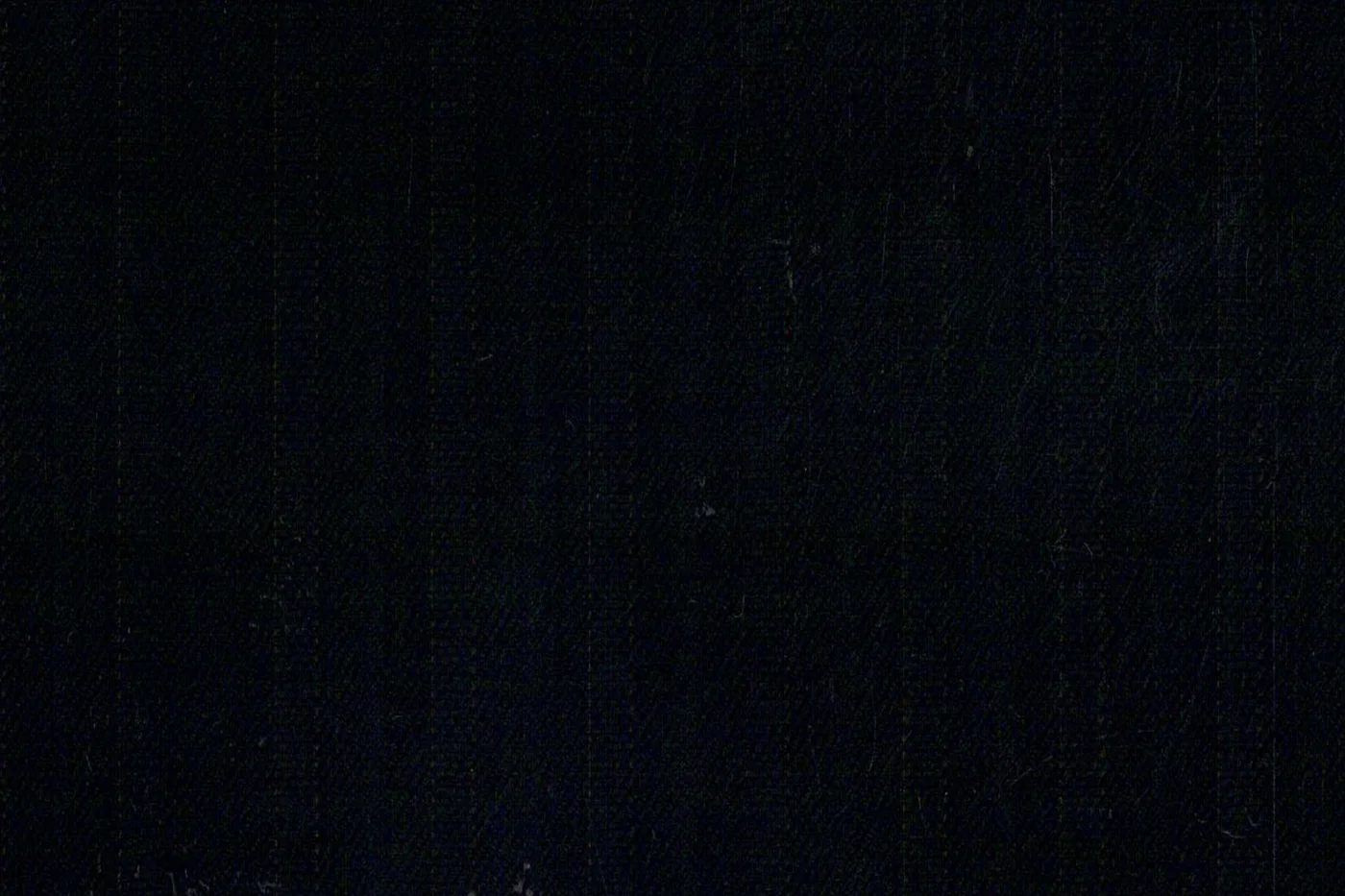 Lanificio Valdengo 26569-280 BLACK W/BLUE STR fabric swatch