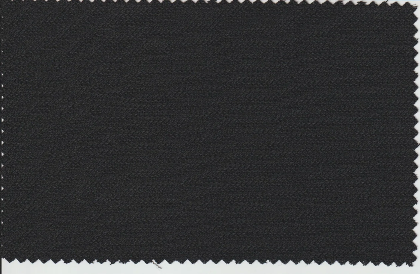 Last Pieces 21129-380 BLACK fabric swatch