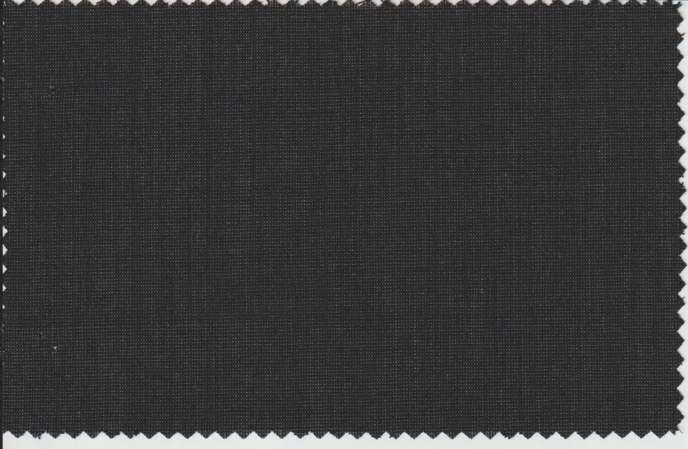 Last Pieces 21364-160 BLACK NAILHEAD fabric swatch