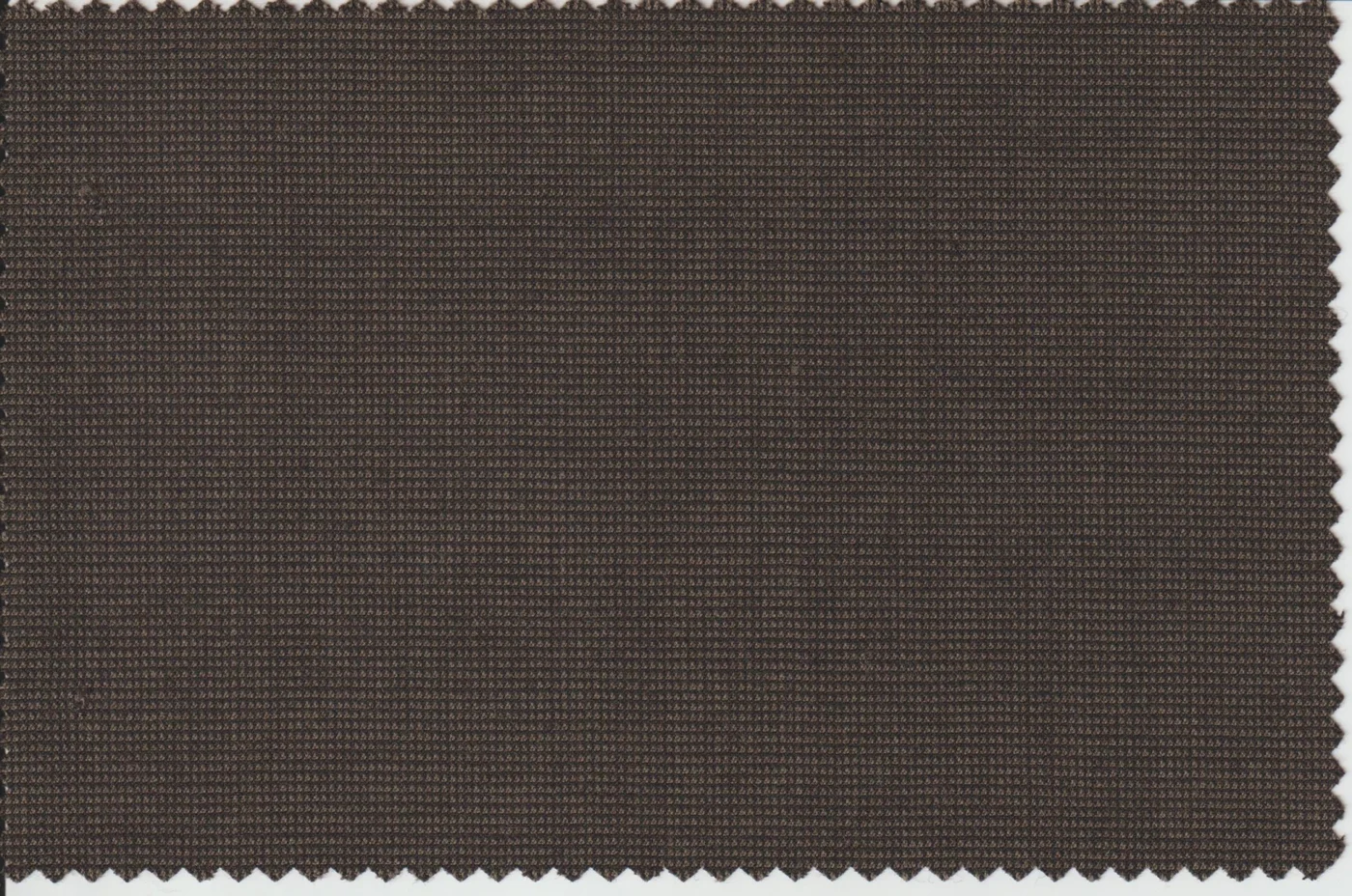 Last Pieces 21577-160 BROWN NAILHEAD fabric swatch