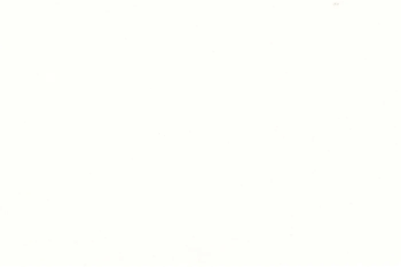 Linen 25586-110 IVORY fabric swatch