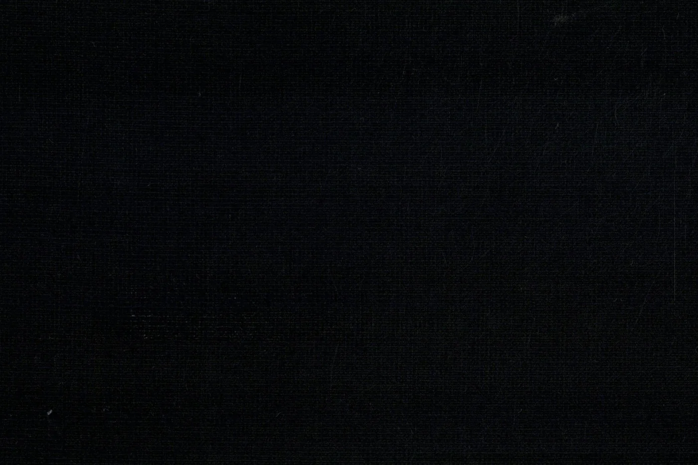 Linen 25589-110 BLACK fabric swatch