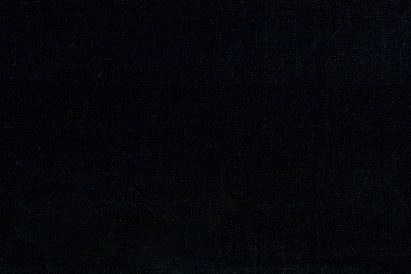 Linen 28729-190 BLACK fabric swatch