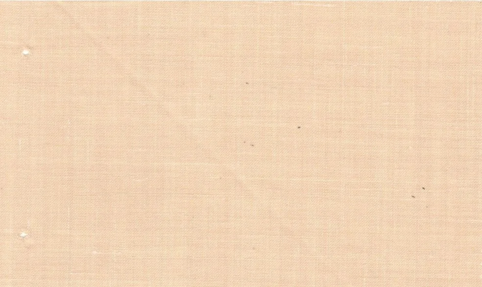 Linen 30259-150 LIGHT BEIGE fabric swatch